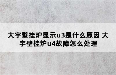 大宇壁挂炉显示u3是什么原因 大宇壁挂炉u4故障怎么处理